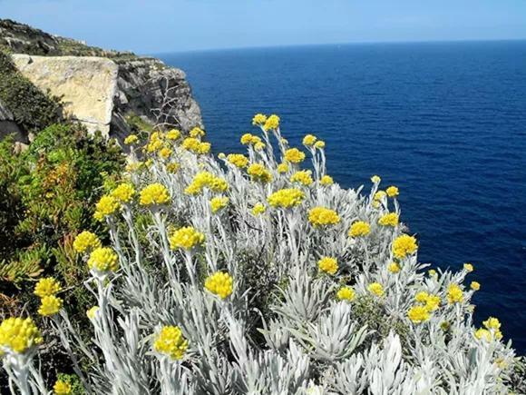 Appartamento La Ciaccia - Affittasi bellissimo monolocale sul mare Valledoria  Esterno foto